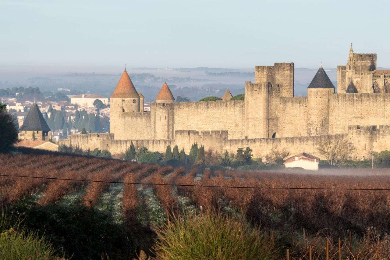 Villa Des Cathares Каркассонн Екстер'єр фото